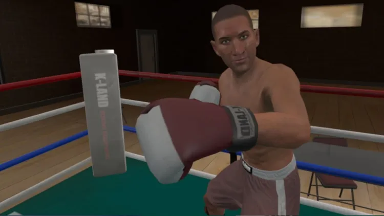 Developer update image for Opponent throws a left hook - In game image