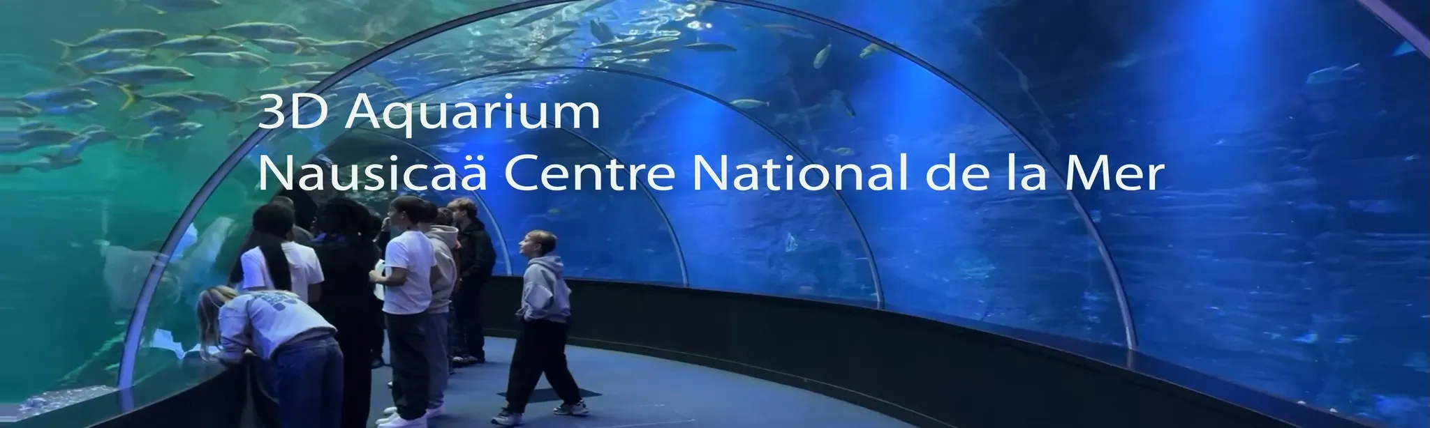 3D Aquarium Nausicaä Centre National..