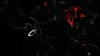 (m)ORPH screenshot 1