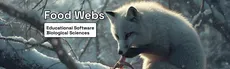 Food Webs hero image