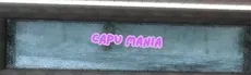 Capu Mania hero image