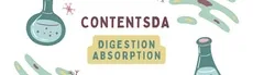 Digestion Absorption Experiment - ContentsDa Science Experiment hero image