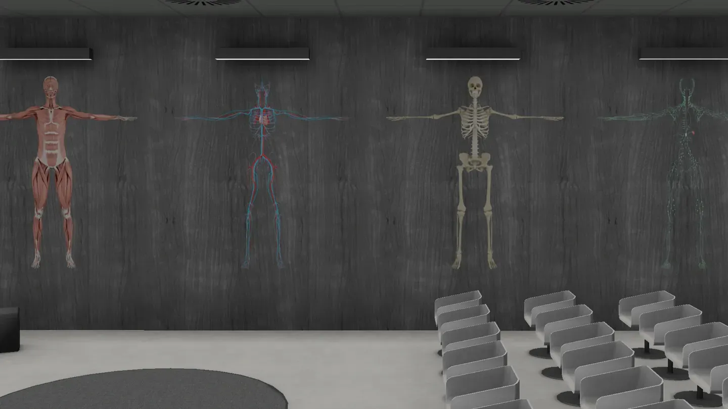 Exe Anatomy Academic  trailer 0