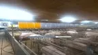 360 tour of Lyngbogaard screenshot 4
