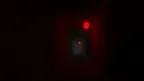 Monkys Horror screenshot 3