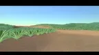 Virtual Farm - Earth University  screenshot 3