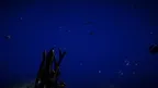 Deepsea Horror: Underwater Survival screenshot 3