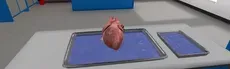  Dissection Simulator: Mammalian Organ Pack hero image