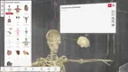 Exe Anatomy Academic  screenshot 2