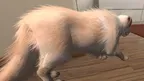 My puppy: Yellow Labrador screenshot 4