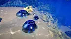 VR Deep Dive: Ocean Adventure screenshot 2