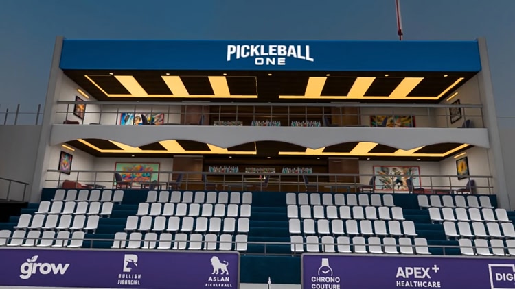 Developer update image for Pickleball One May Update - v 2.6.10