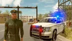 Border Police VR: Contraband Simulator screenshot 0
