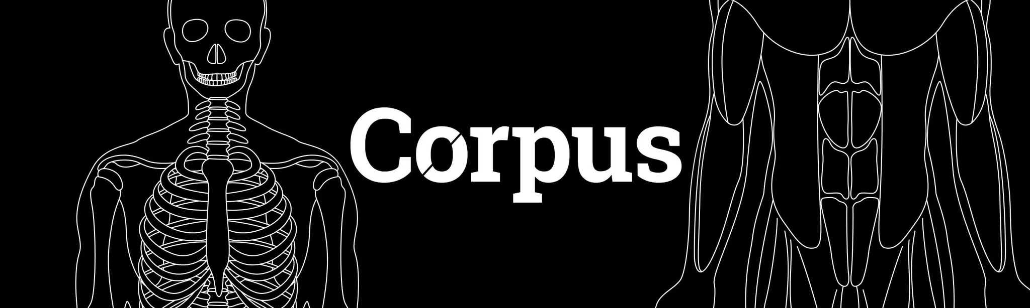 Corpus | Anatomy