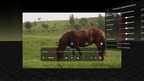 PLAY'A Video Player screenshot 4