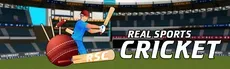 Cricket hero image