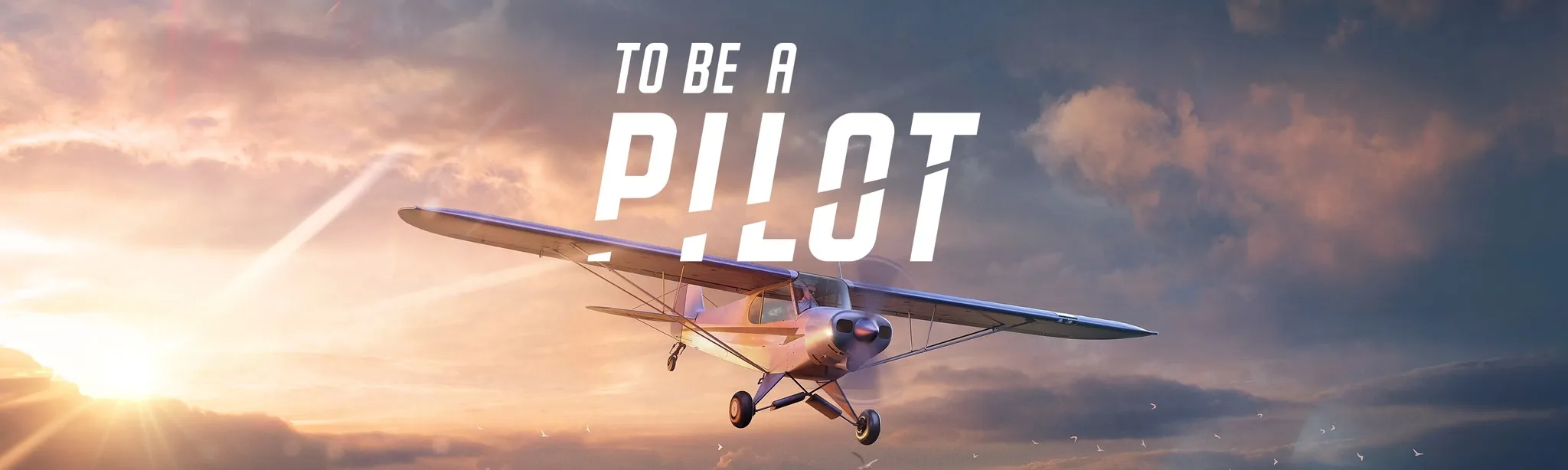 To Be a Pilot