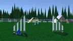 Callie's Canine Agility Challenges screenshot 2