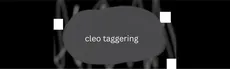 cleo taggering hero image