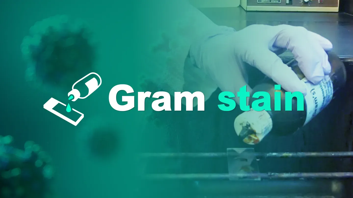 Gram stain trailer 0