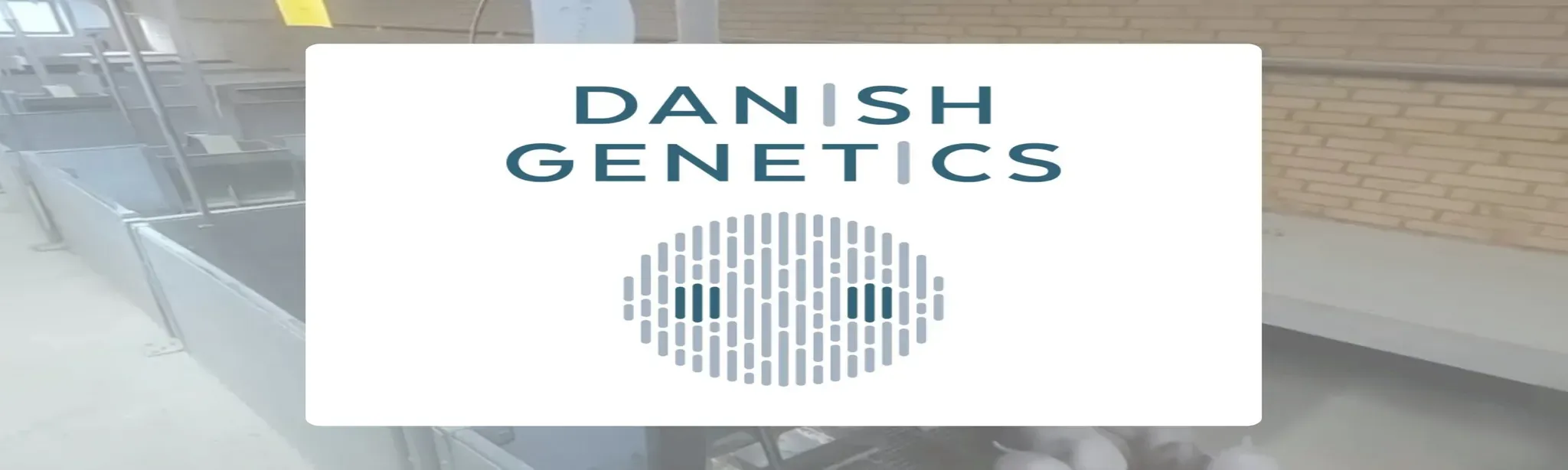 360 tour of Lyngbogaard