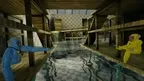Kong screenshot 3