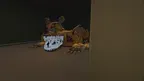 Monkey Parkour screenshot 1