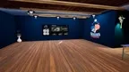 Table Tennis Star screenshot 0