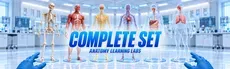 Anatomy Learning Labs: Complete Set hero image