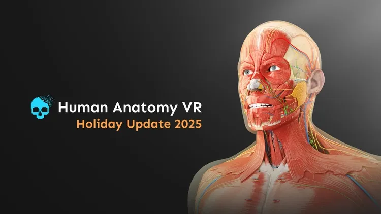 Developer update image for Holiday Update 2025