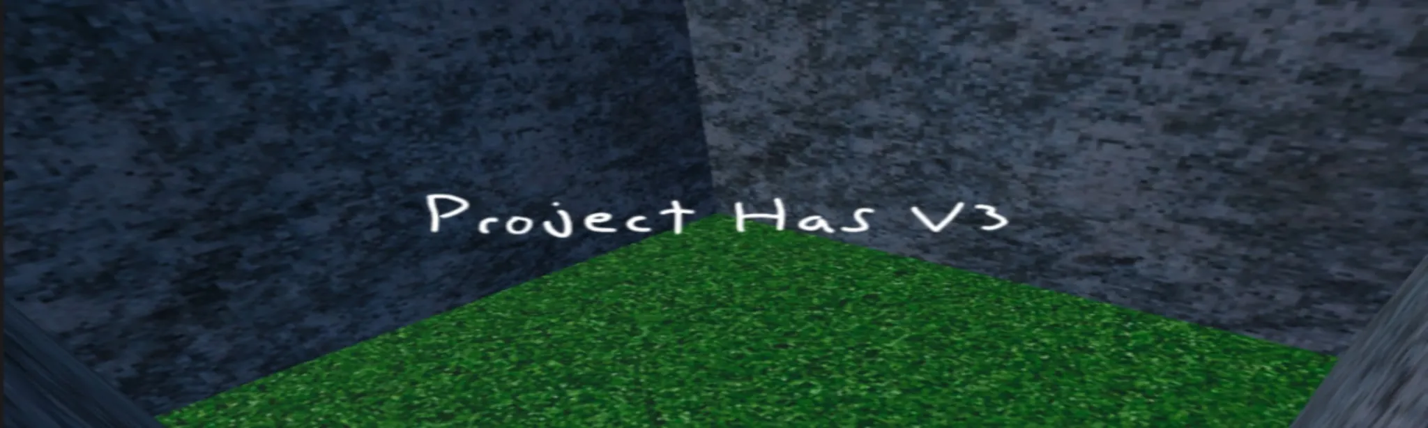 Project Has V3