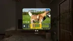 Spatial Camera: Capture in Immersive 3D screenshot 5