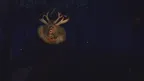 Night of the Wendigo screenshot 5