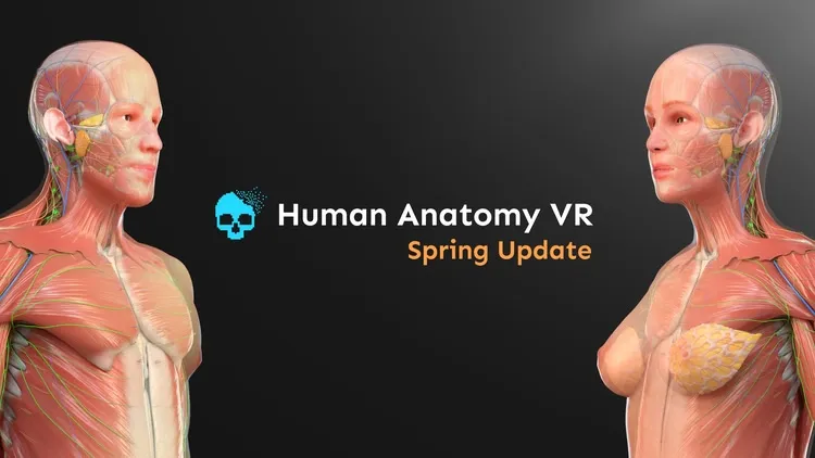 Developer update image for Spring Update
