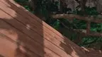 Gorilla Walkerss screenshot 4
