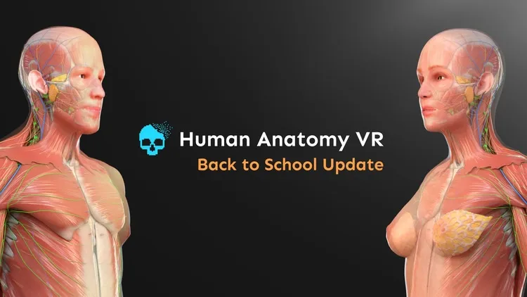 Developer update image for Back to School Update