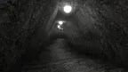 ‎‎RTX Gorilla Tag screenshot 2