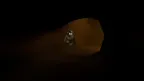 Raccoon Rampage screenshot 2