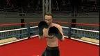 Golden Gloves Boxing screenshot 5