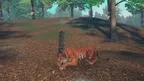 Big Cat Rescue screenshot 5
