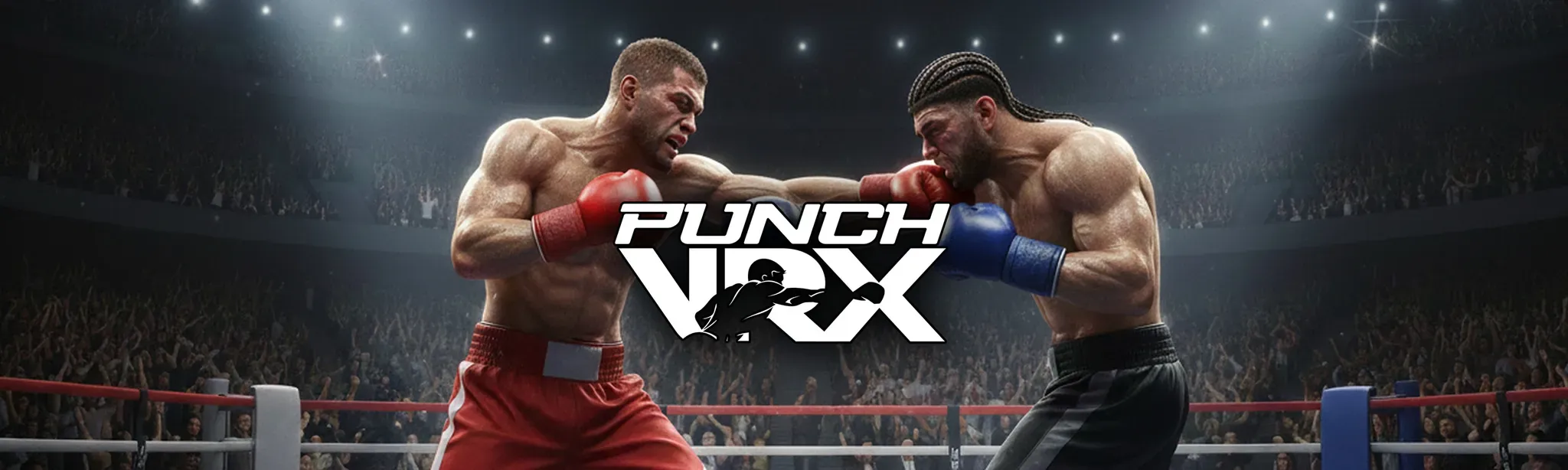PunchVRX - Boxing