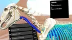 ATM Academy screenshot 0