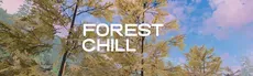 Forest Chill hero image
