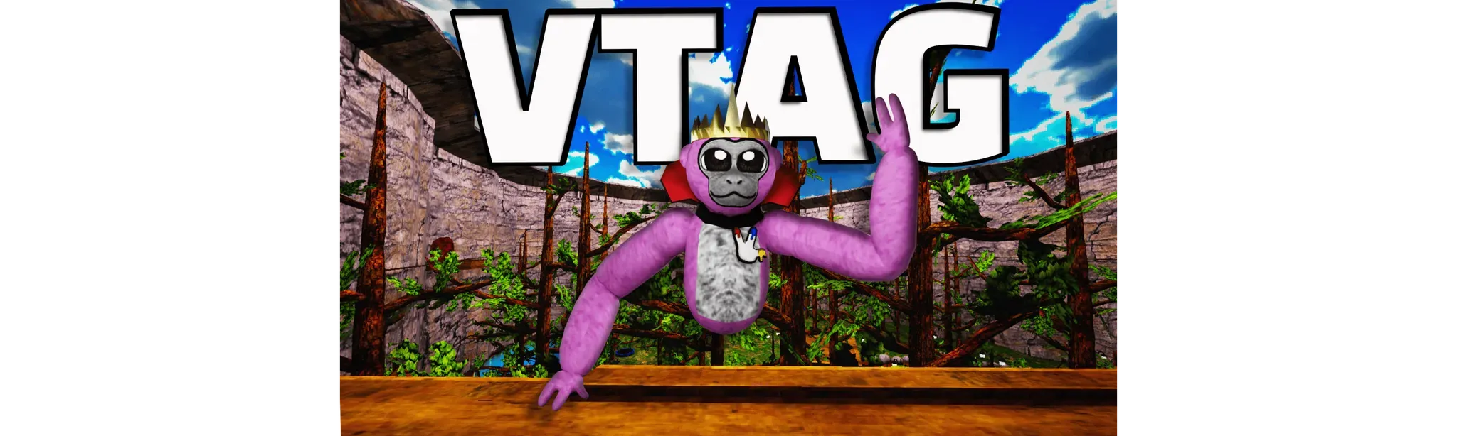 V TAG
