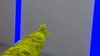 Speedy Monkes screenshot 3