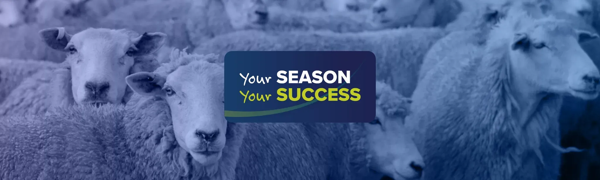 Your Season Your Success