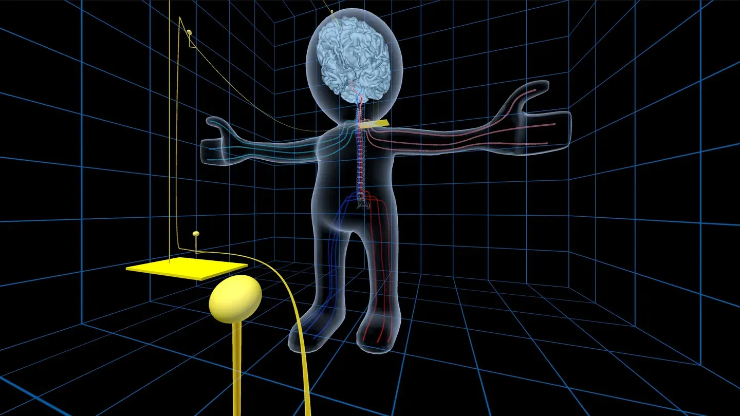 UW Virtual Brain Project cover image