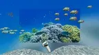 immerGallery Demo screenshot 5