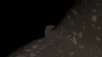 Project Nugget Tag screenshot 3