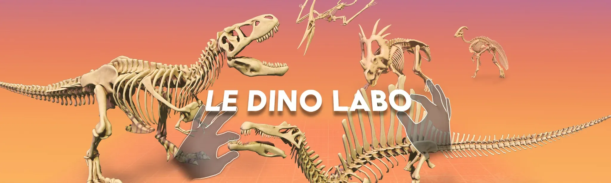 Le Dino Labo